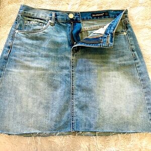 Blank NYC Light Blue A-Line Denim Skirt